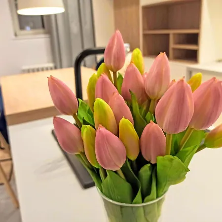 Comfy - Old Town Center *